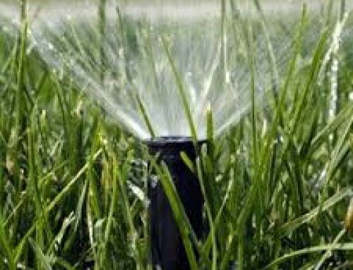 Proper Watering for Aerating and Seeding